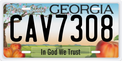 GA license plate CAV7308