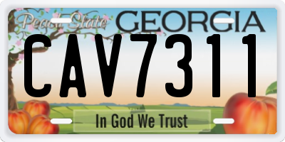 GA license plate CAV7311