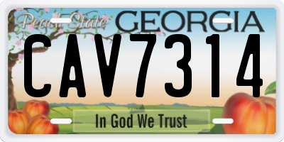 GA license plate CAV7314