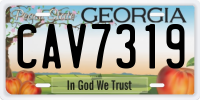 GA license plate CAV7319