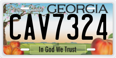 GA license plate CAV7324