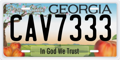 GA license plate CAV7333