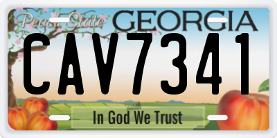 GA license plate CAV7341