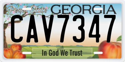 GA license plate CAV7347