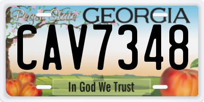 GA license plate CAV7348