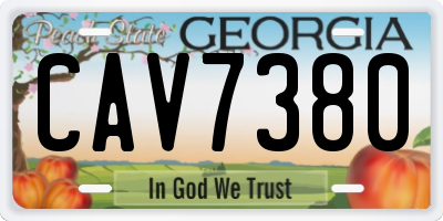 GA license plate CAV7380