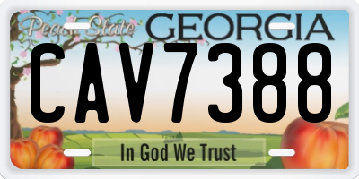 GA license plate CAV7388