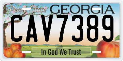 GA license plate CAV7389
