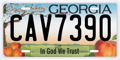 GA license plate CAV7390