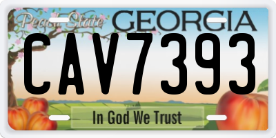 GA license plate CAV7393