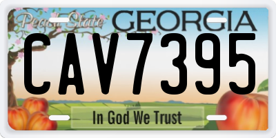 GA license plate CAV7395