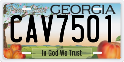 GA license plate CAV7501