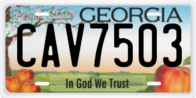 GA license plate CAV7503
