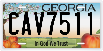GA license plate CAV7511