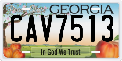 GA license plate CAV7513