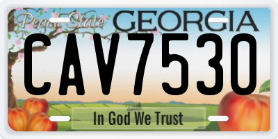 GA license plate CAV7530
