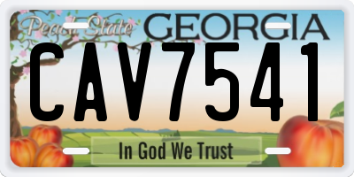 GA license plate CAV7541