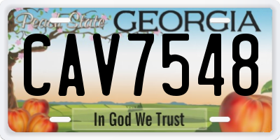 GA license plate CAV7548