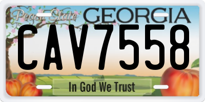 GA license plate CAV7558