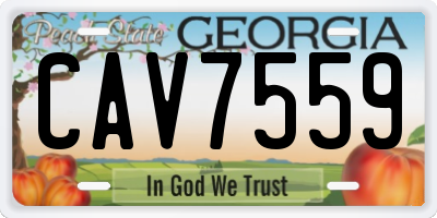 GA license plate CAV7559