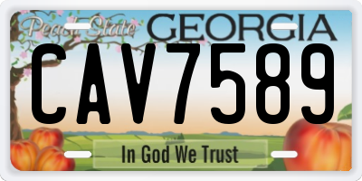 GA license plate CAV7589