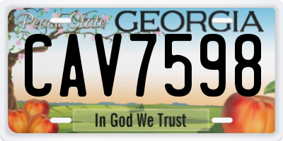 GA license plate CAV7598