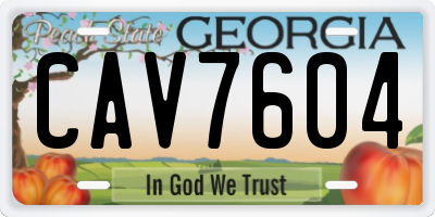 GA license plate CAV7604