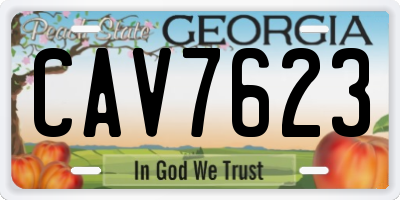 GA license plate CAV7623
