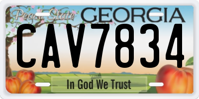 GA license plate CAV7834