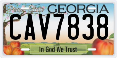 GA license plate CAV7838