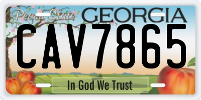 GA license plate CAV7865
