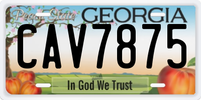 GA license plate CAV7875