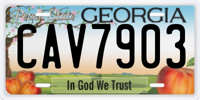 GA license plate CAV7903