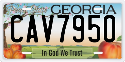 GA license plate CAV7950
