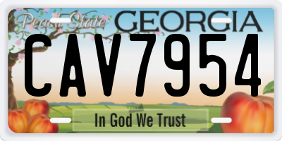 GA license plate CAV7954