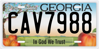 GA license plate CAV7988