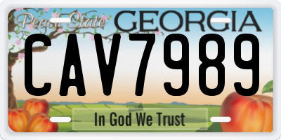 GA license plate CAV7989