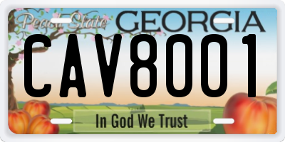 GA license plate CAV8001