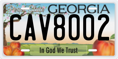 GA license plate CAV8002