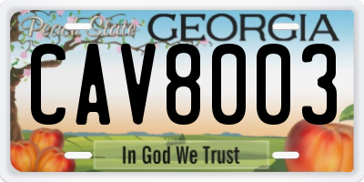 GA license plate CAV8003