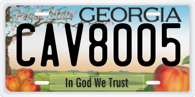 GA license plate CAV8005