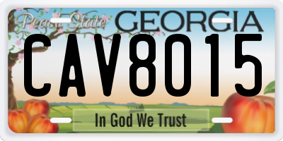 GA license plate CAV8015