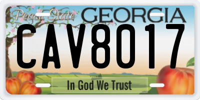 GA license plate CAV8017