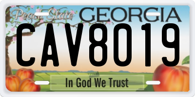 GA license plate CAV8019