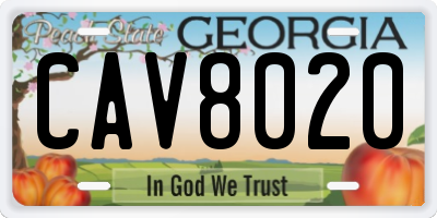 GA license plate CAV8020