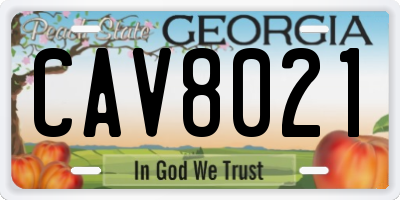 GA license plate CAV8021