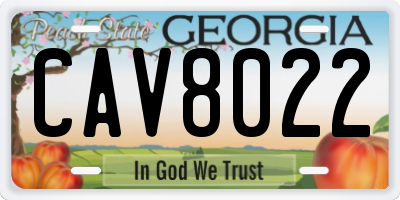 GA license plate CAV8022