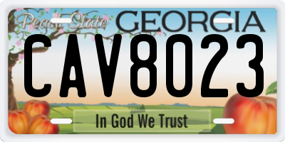 GA license plate CAV8023