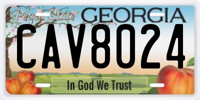 GA license plate CAV8024