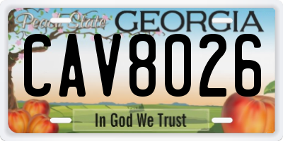 GA license plate CAV8026